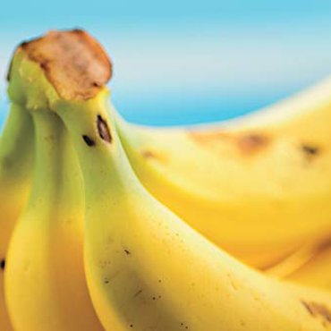 5个理由，爱上香蕉