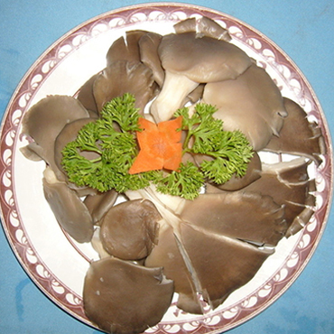 蘑菇的功效与作用 “小”菇类7种“大”